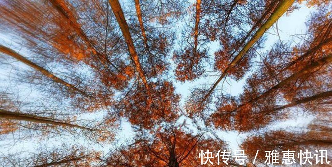 诗情$刘禹锡一首很有趣的诗,写出了不一样的秋色美景,句句是至理名言