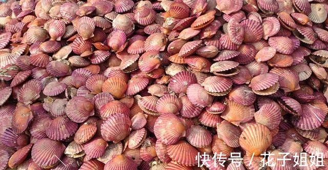 下饭|这既是菜也是汤，蛋白质含量高，鲜香美味又营养，比吃肉更下饭！