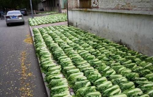 常吃|咸菜有害身体健康?农村老人常吃咸菜却依然高寿,原来真相是这样