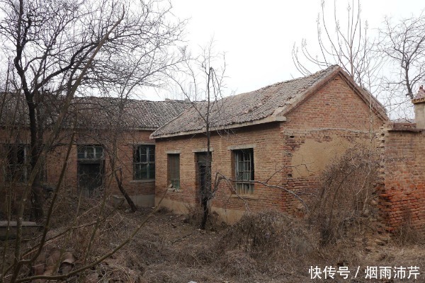 俗语|俗语“家有四项,家败人亡”,说的是哪四项?看看你家有吗?
