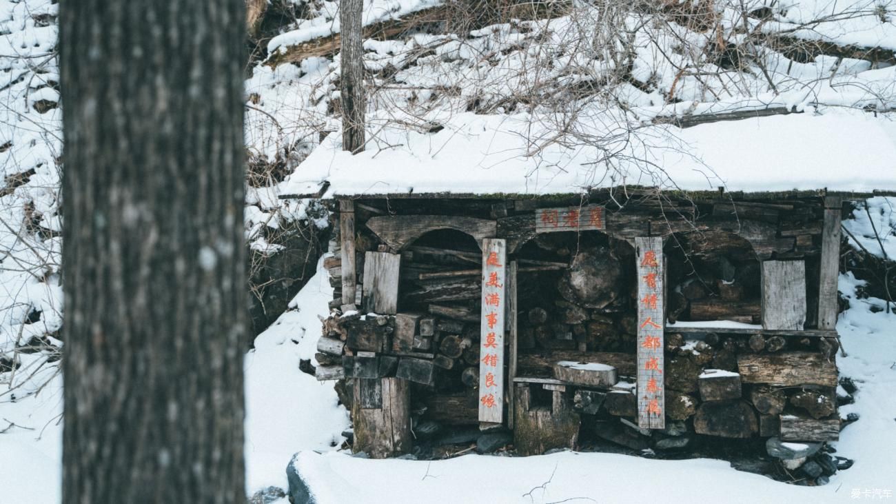 老年|在寂静雪原 遇见雪花真实的形状