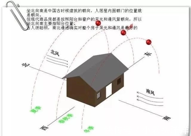 绿植|房子阴气重的五大表现，每一个都可能带来霉运，难聚财，易招邪