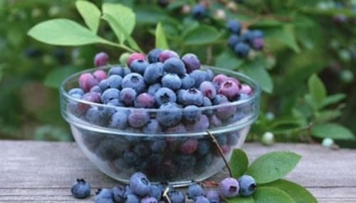 冬天可以多吃3种食物,滋养肌肤,排毒养颜,好处多多!