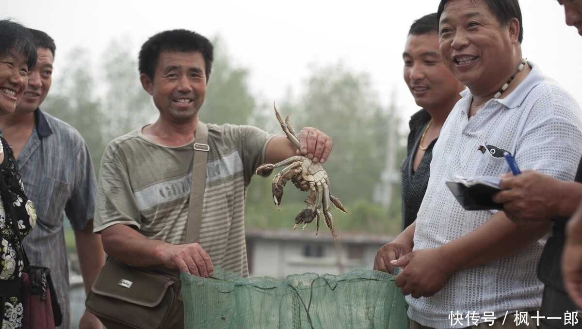 现一|大闸蟹之“殇”，曾卖80一斤，现一降再降，大闸蟹经历了什么？