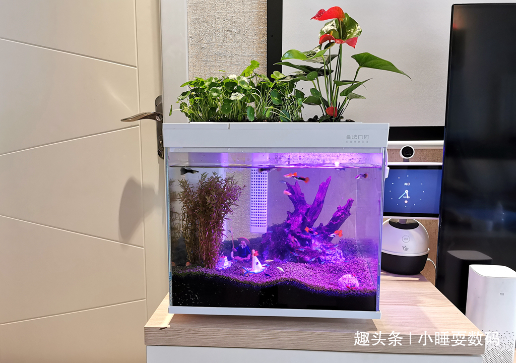 哪种鱼缸更适合养鱼画法几何AI智能鱼缸,水质监测还能自动喂食