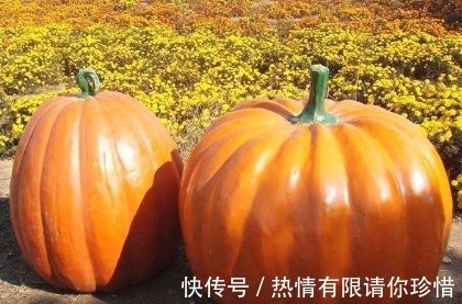 葫芦|孕妇梦到这4件事,预示会生儿子是吉兆,且将来会成为栋梁之才