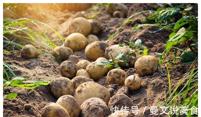 糖尿病患者|糖尿病患者饮食清单公布,收藏一下,来看下“禁忌”和“适宜”