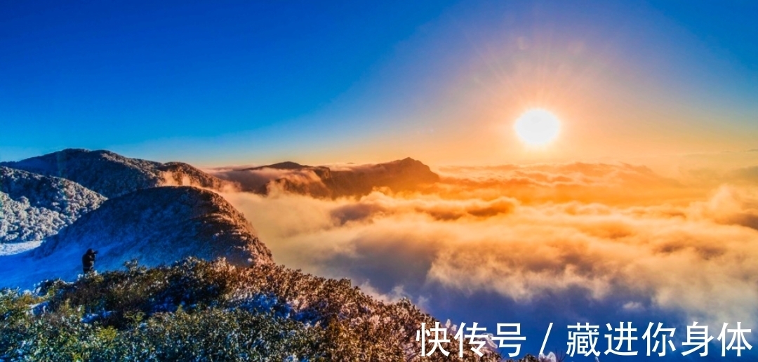 我国特有的单种属珍稀濒危兰花——金佛山兰