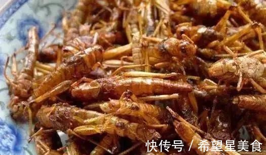 去农村表姐家吃饭，表姐做了农家柴火饭，吃完之后停不下来太香了！