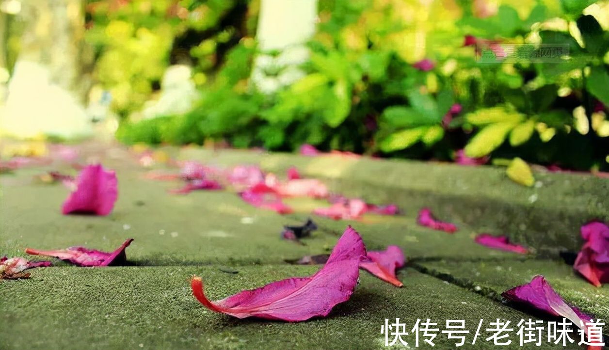 咏梅！遥知不是雪 为有暗香来 王安石的《咏梅》原来也抄自古人