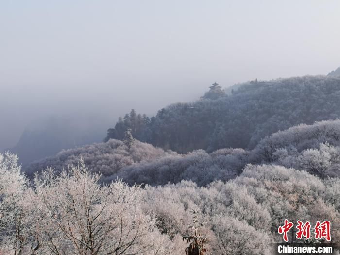 平凉市|甘肃崆峒山雾凇连绵 山脉成白色世界