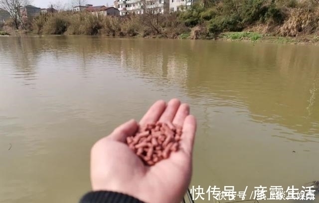 手抛|手抛窝弊端多,野钓用上这4种打窝方法,精准做窝诱鱼更快