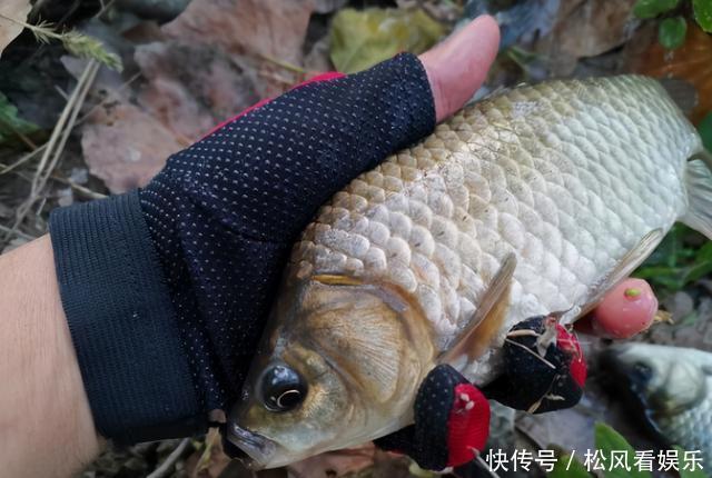冬季钓鲫鱼找到鱼是关键,3种方法让你找到鱼窝