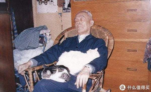 北京大学|炎炎夏日读季老纪念版散文集,自在自为,尽兴至极