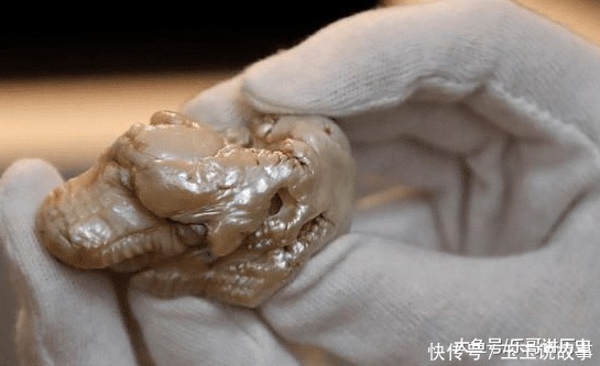 世界最大淡水珍珠“睡狮”拍卖,日商出价240万落槌