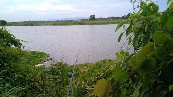 调漂|夏钓鲫鱼三两招，熟练掌握，你还怕夏天钓不到大板鲫