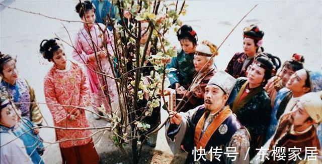 宁国府|《红楼梦》这两人看似贾府的希望,实则伏笔贾府断子绝孙