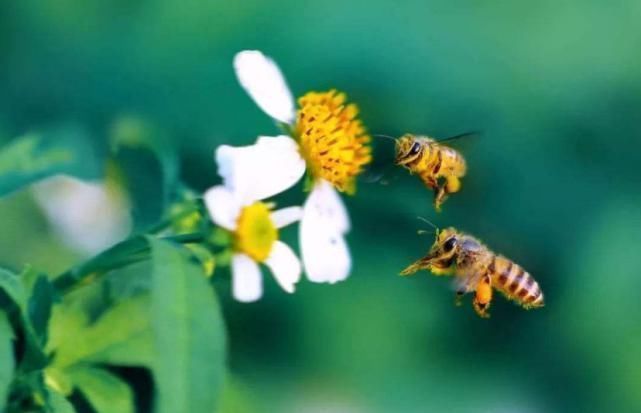 经典$4首没入选《唐诗三百首》的经典,每首都是千古名作,没选是损失