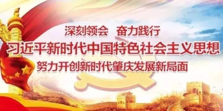 视察|四会市政协副主席封华英率队视察碧海湾社区长者饭堂