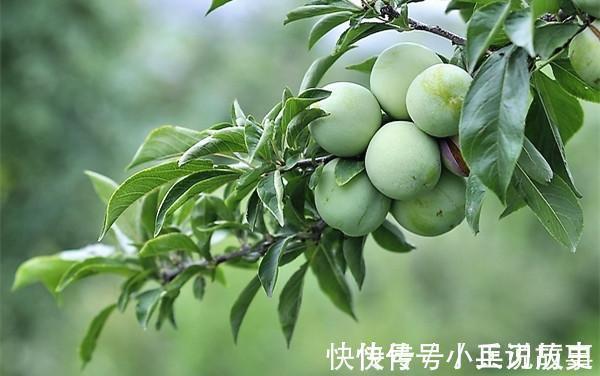 上联#千古绝对! 上联 “苏轼东坡赏李白”, 下联怎么可以这样