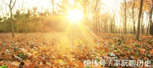 杨柳|不入流词人引来苏轼为其改字,写首凄美之作,最后12字千古名句