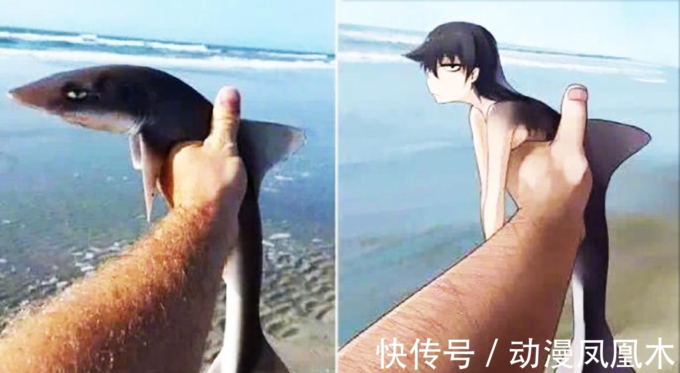 二次元化|当动物被画师二次元化,可盐可甜可帅气,还是纸片人更让人心动