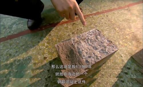 中國耗時最長的實驗,將鋼筋混凝土放進海水30年,究竟有什么意義