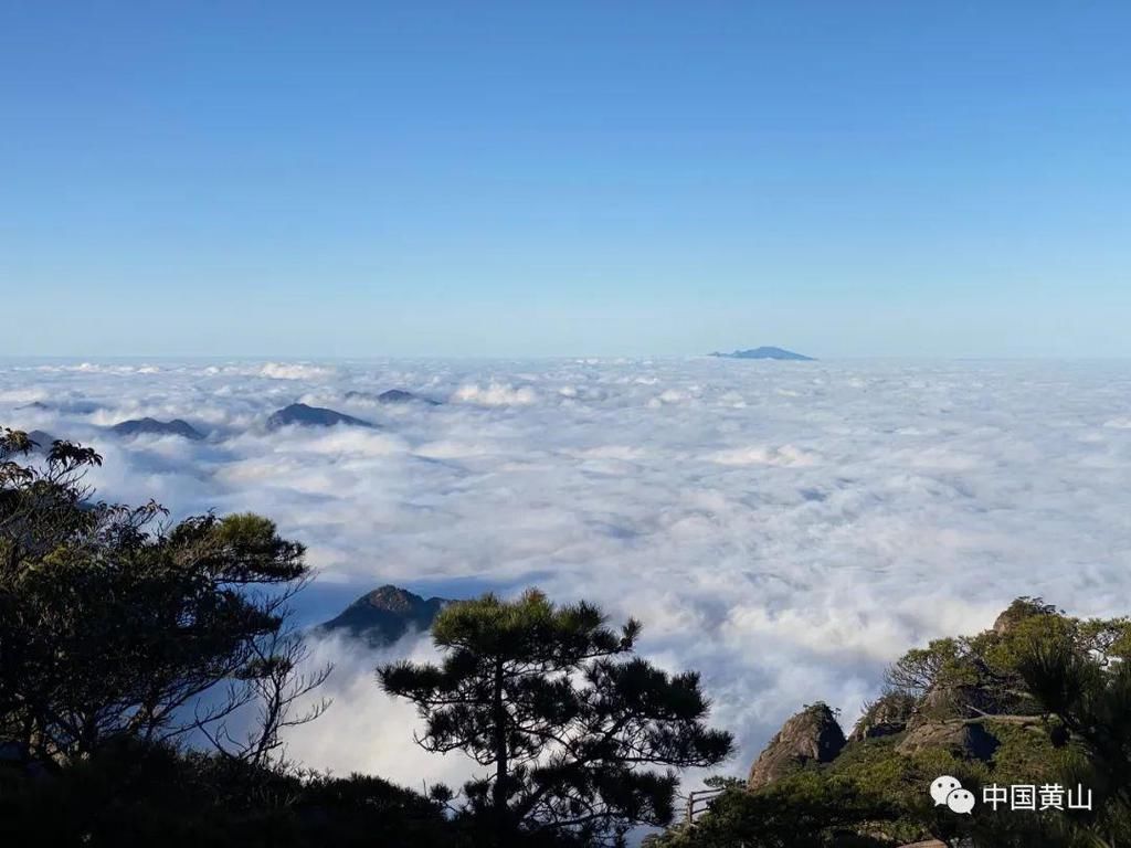 壮观绝美！黄山再现“海”上日出！