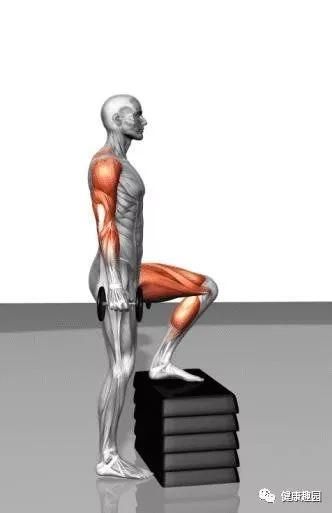 肱三头肌|肌肉群锻炼动作示意图，想练什么对号入座！