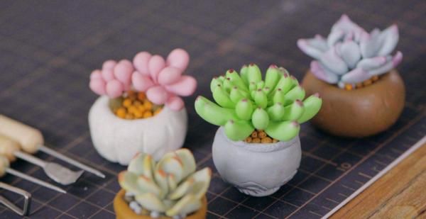 新人养花浇水，没掌握正确方法，别浇这3样“水”