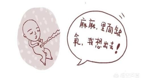 怀孕|是不是怀孕七个月后,每半个月就要做一次B超?