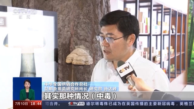 氨基酸|谨防野生菌中毒 这些一定要记牢→