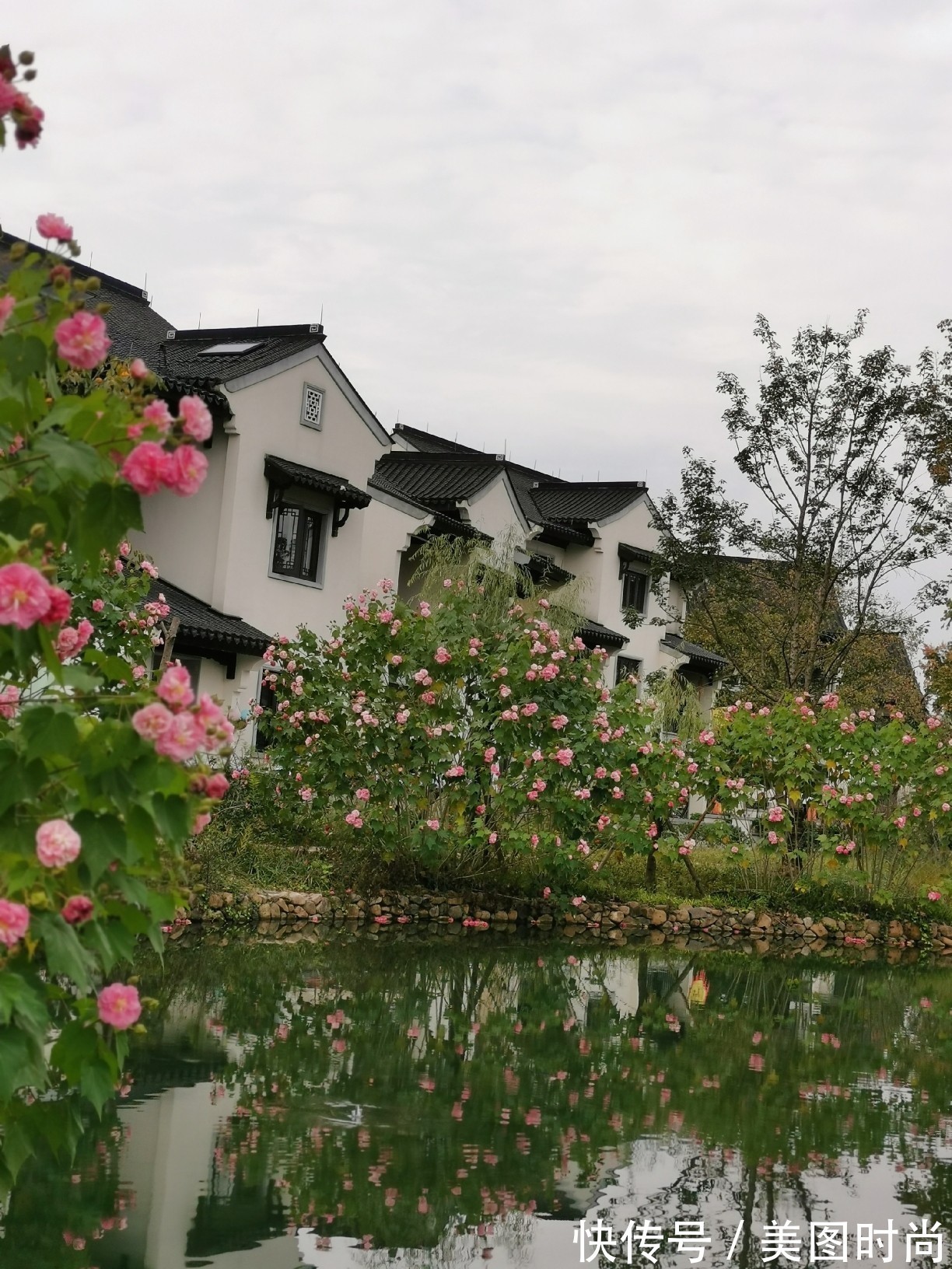 小院|80㎡最美乡村别墅小院，全由自己亲手布置设计，超有成就感