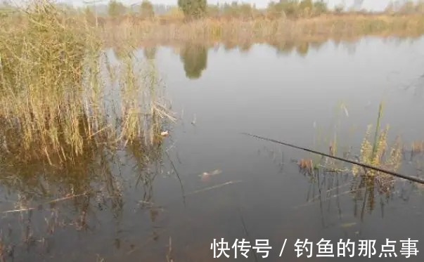 春钓鲫谨记5个“口诀”,60%的钓友都不知道,学会后拉到“手软”