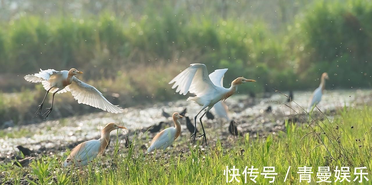 戴叔伦#3首写景的千古名作,各有一个千古名句,第一首曾被誉为七律压卷