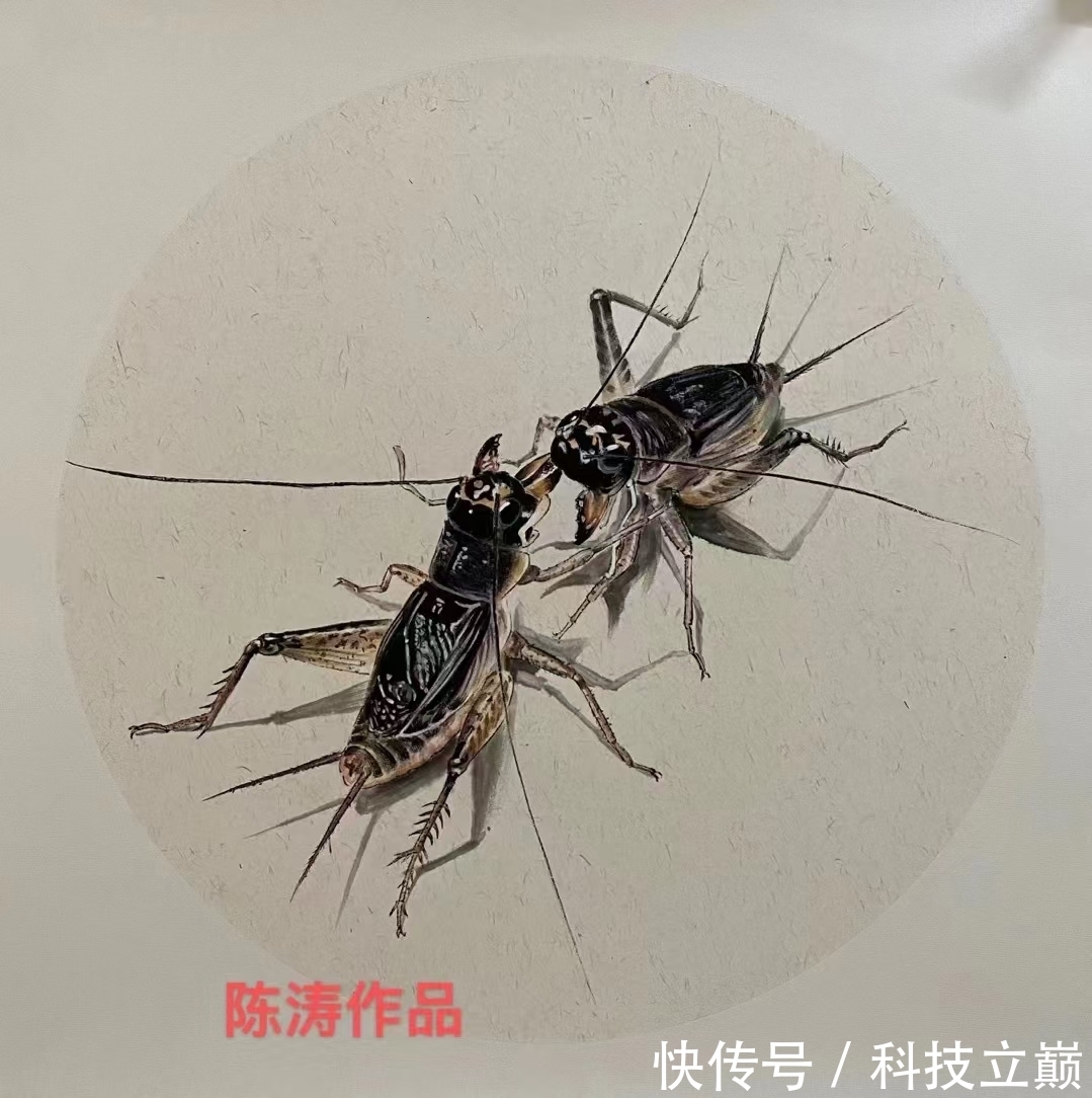 陈涛#画家陈涛简介 陈涛字画欣赏