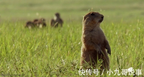 |10个幽默小笑话,开心一笑!