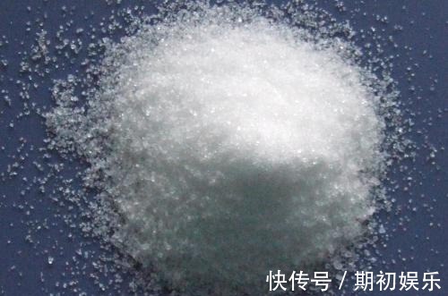 家家都有的“1种粉末”,浇花用上它,植物花苞多、开花易爆盆