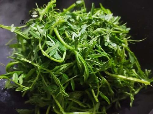 好吃|这是什么野菜，你知道吗？3块钱买了一袋，炒出来比豌豆尖还好吃