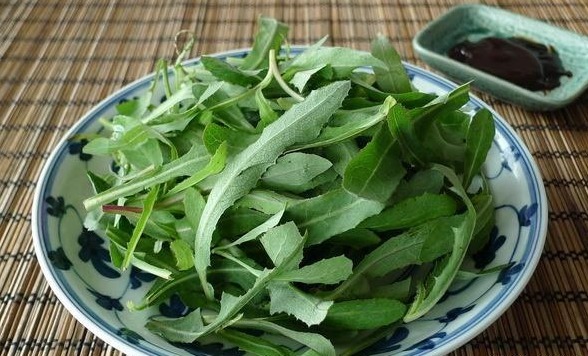 谷谷丁|7种农村常见的野菜,个个都是治病的“良药”,你吃过几个