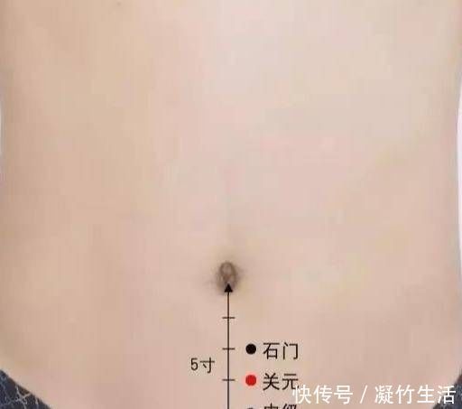 穴位|脾胃弱则正气虚;正气虚则病缠身4个穴位最养脾胃肾