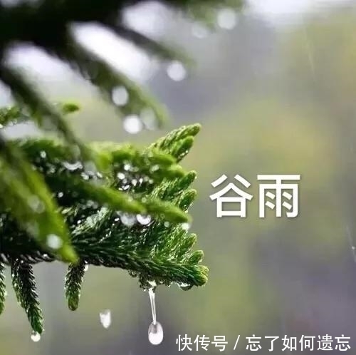 谷雨时节请到塔河来看雪