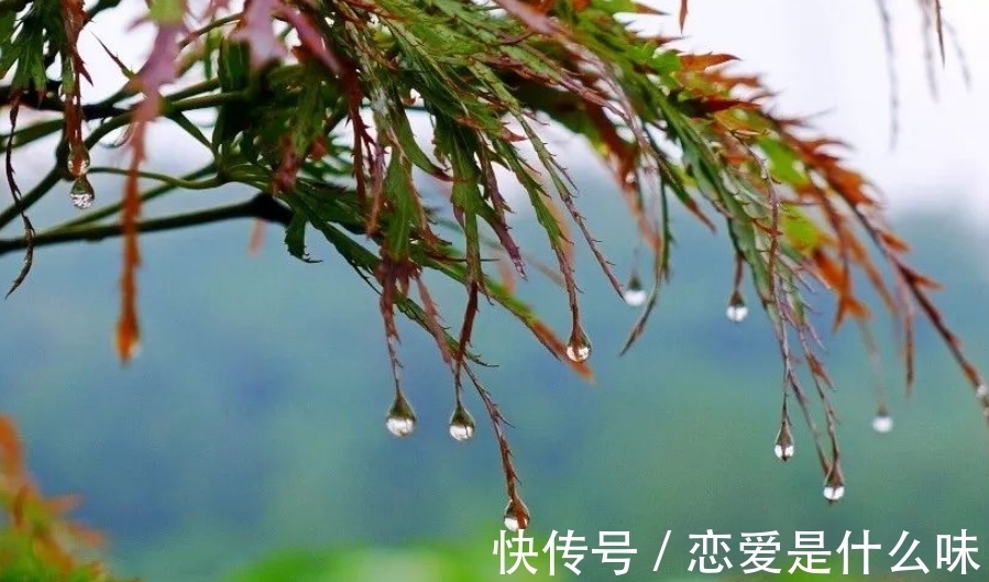 仙风道骨#“我辈岂是蓬蒿人”中“蓬蒿人”是什么人?难倒诗词大会34位高手