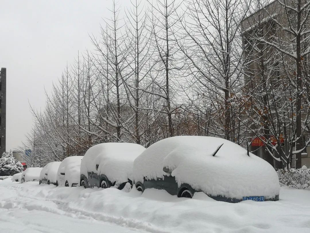 零成本|雪地靠喊找手机、阳台切＂豆腐＂、徒手敲车窗…东北这场罕见暴雪惊了网友