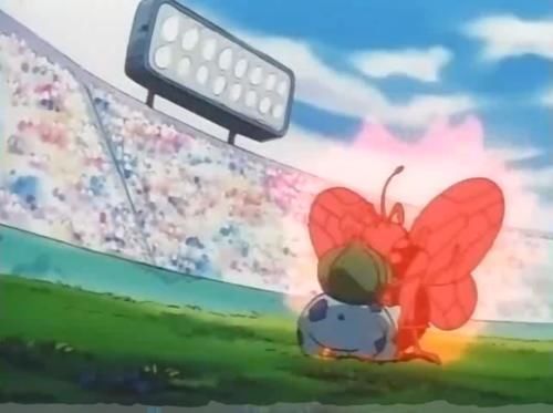 剧本|小智最机智的草系宝可梦,不进化的它仿佛已经看了10年后的剧本