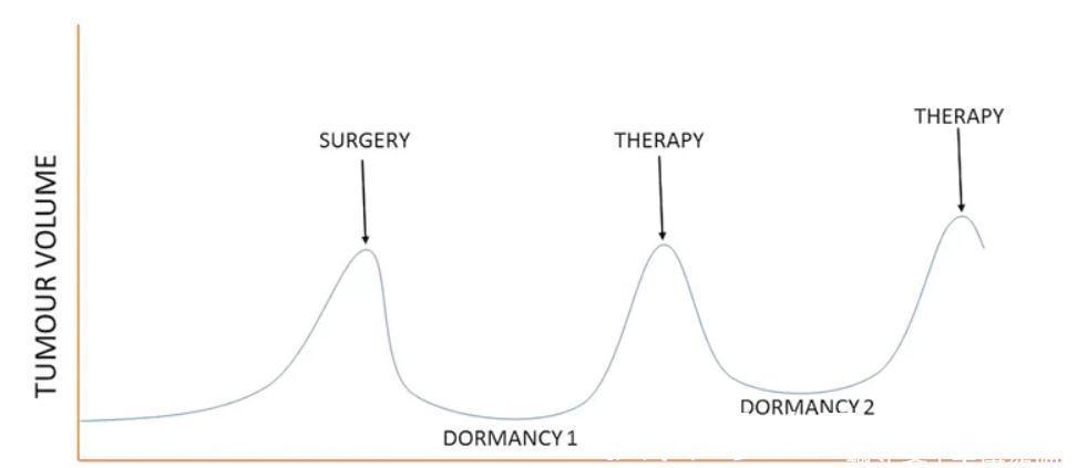 癌细胞|如何延缓癌症复发?教你3个方法,不花一分钱,让癌细胞休眠!