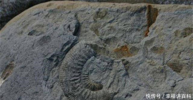 文明|人类或在轮回中循环, 考古家给出3个证据, 推测结果令人大跌眼镜!