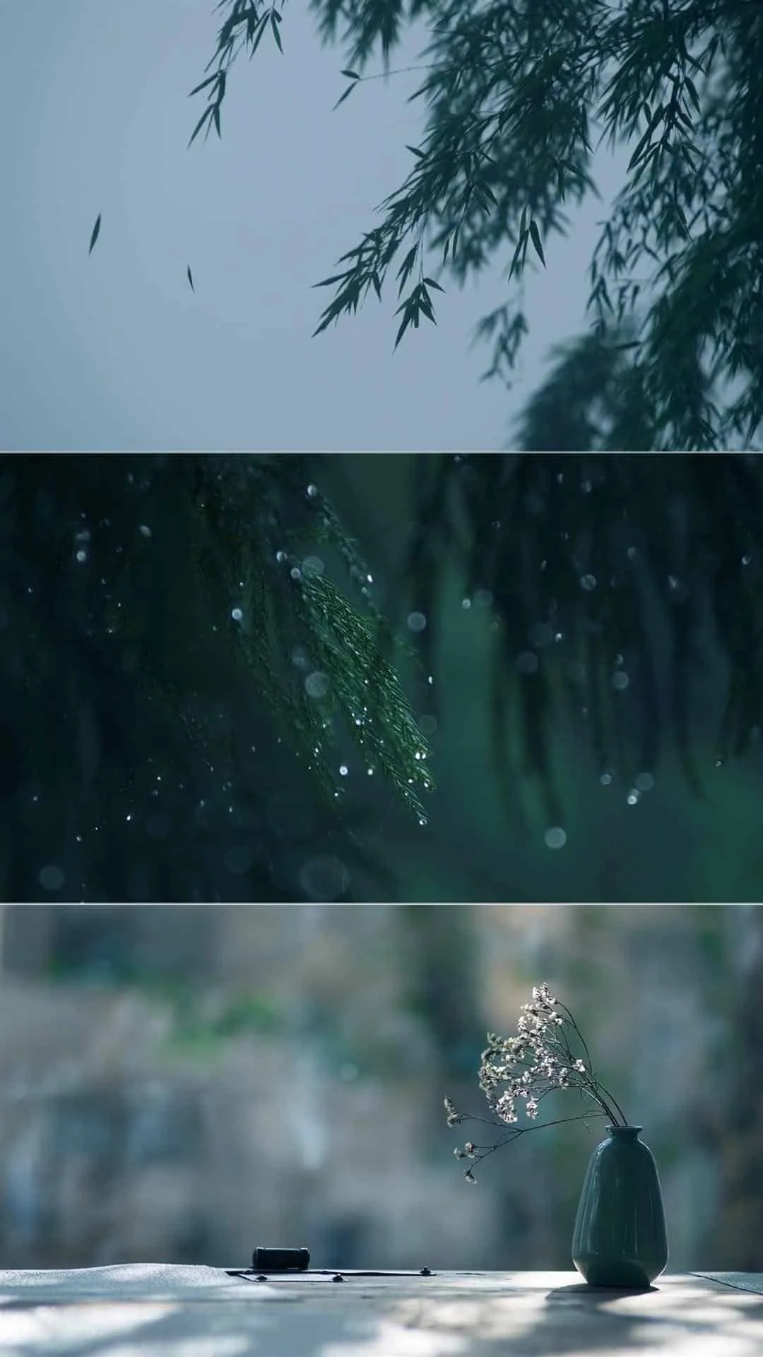 有所期&雨水|天青色等烟雨。