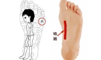 补血穴|揉开这条长寿筋，百病不侵，阳气充沛，活过九十九