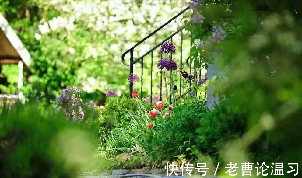 荷塘|临轩晓雨风杨柳，入画荷塘蝶恋花。立夏诗词二十首